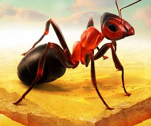 Little Ant Colony Mod Apk 2.2 (Unlimited Money)