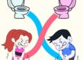 Toilet Rush Race Draw Puzzle Mod Apk 0.4 (Ad-free Skins Unlocked)